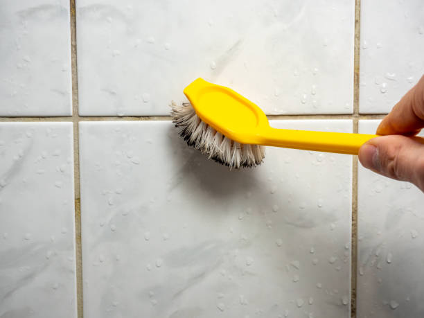 Best Mold Testing and Removal  in Quincy, MA